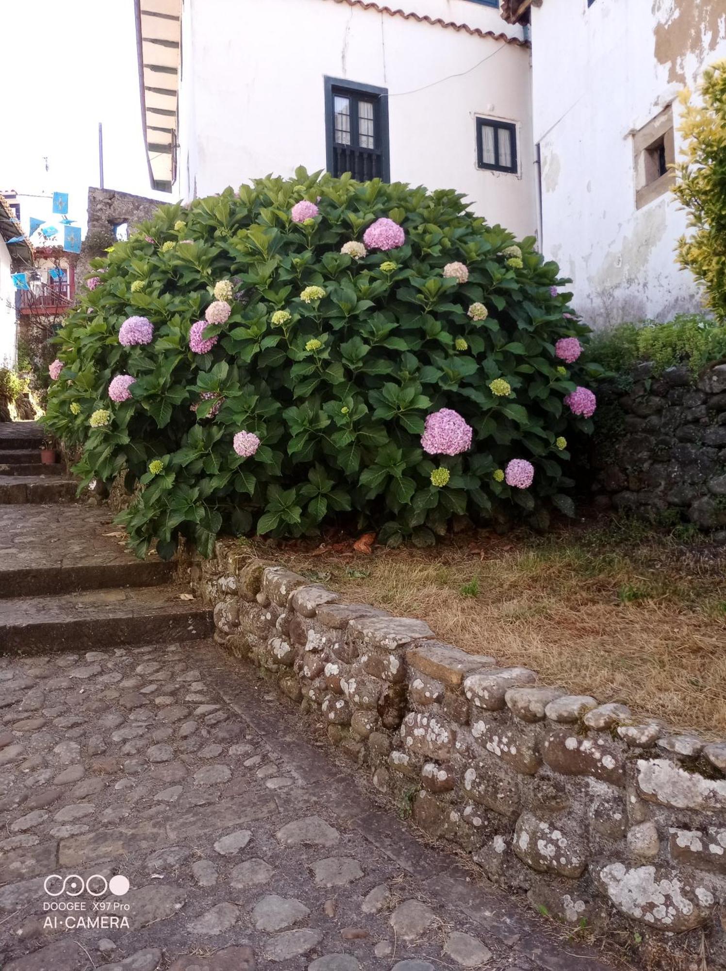 Tazones 79 Vut6993As Διαμέρισμα Εξωτερικό φωτογραφία